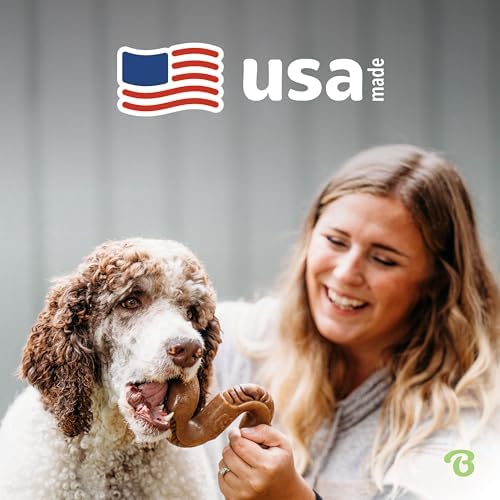 Benebone Tripe Bone Durable Dog Chew Toy for Aggressive Chewers, Real Tripe, Made in USA, Large (Pack of 2)