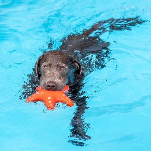 Fringe Studio Shelly Floating Dog Toy, Pet Shop Collection