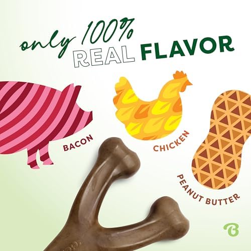 Benebone 30-Pack Wishbone Dog Chew Toy for Aggressive Chewers, Large