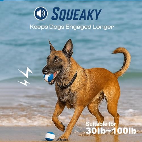 Squeaky Dog Toy, Durable Rubber Ball, Medium & Large Dogs, Ocean