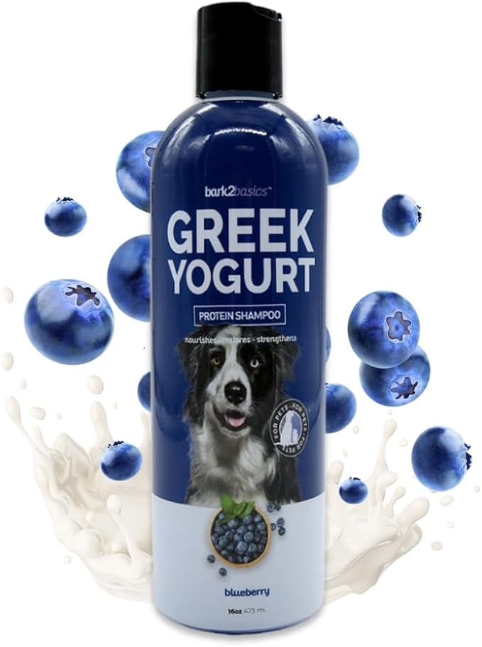 Bark2Basics Blueberry Greek Yogurt Shampoo, 16 oz - Protein Pet Shampoo, Natural Ingredients, Restores Moisture to Dry Coats, Soothes Dry Itchy Skin, 16:1 Concentrated, Professional | 16:1 Concentrate, Yogurt Protein Conditions and Restores Moisture, G...