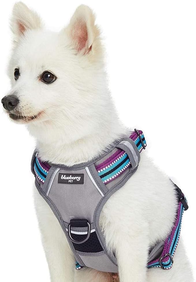 Blueberry Pet Dog Harness Soft & Comfy 3M Reflective Dog Harness Medium Sized Dog