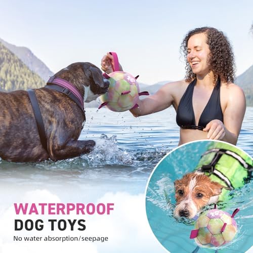 QDAN Dog Balls, Dog Herding Ball, 8 Inch Large Dog Soccer Ball with Strap | Durable Outdoor Dog Toys for 30-90lbs Medium Large Dogs, Interactive Pet Toys Tug of War, Pet Birthday Gifts,Gradient Rainbow