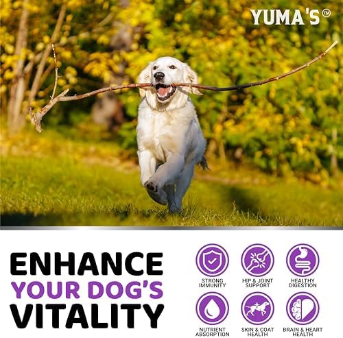 Dog Vitamins and Supplements - 170 Chews - Dog Multivitamin Chewable | Senior & Puppy Multivitamin for Dogs, Hip & Joint Support with Glucosamine, Immune Health, Skin, Heart, Digestion, Probiotics