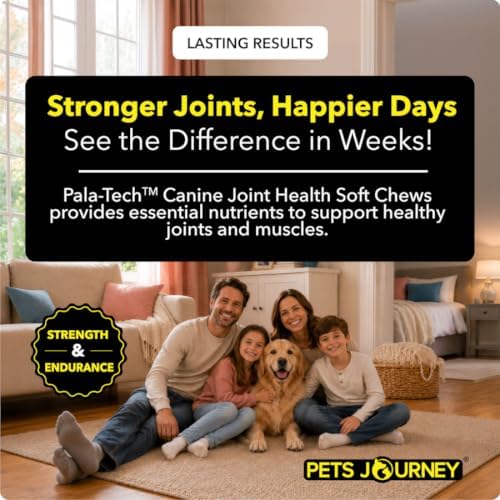 Canine Joint Soft Chews (120 ct) - Glucosamine & MSM Joint Supplement for Dogs - Dog Arthritis Pain Relief – Supports Mobility & Eases Stiffness - Tasty & Easy to Give
