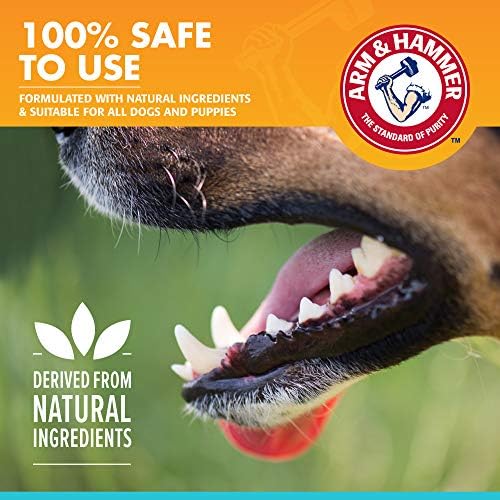 Arm & Hammer Dog Oral Care Breath Spray, Mint Flavor, 4 Fl Oz Bottle | Baking soda spray, brushless formula, mint flavor, daily plaque and tartar control