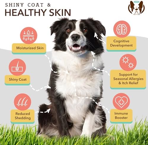 Natural Dog Company Everyday Itch Relief Bundle, Includes (1) Multivitamin Supplement Chews -90 pcs and (1) Skin and Coat Oil Food Topper-16 oz., Vitamins for dogs, Itch relief, Skin and Coat suppleme