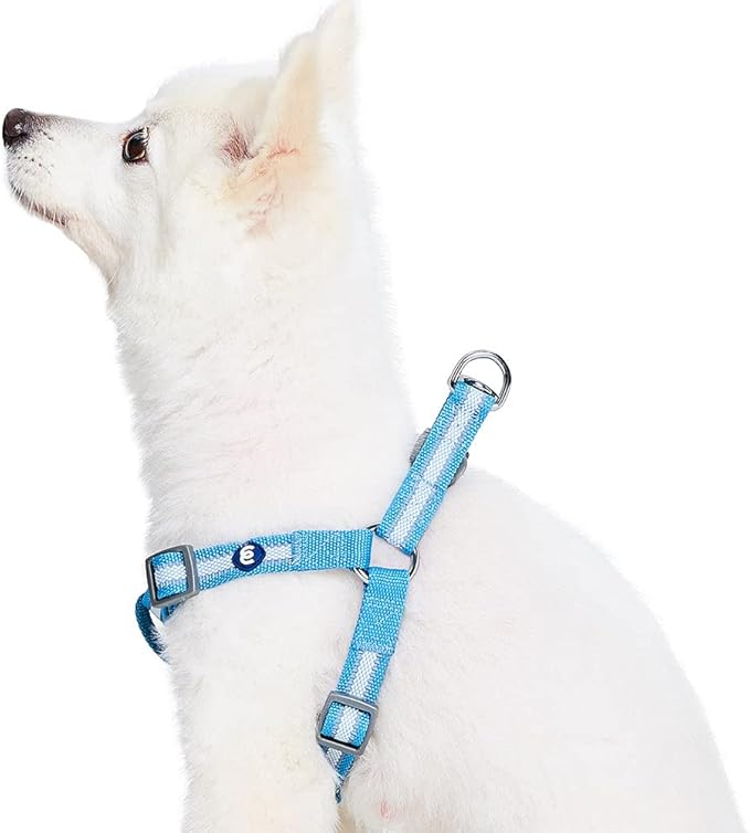 Blueberry Pet Essentials Step-in Reflective Back to Basics Dog Harness, Sky Blue, Chest Girth 20" - 26", Medium, Adjustable Harnesses for Dogs
