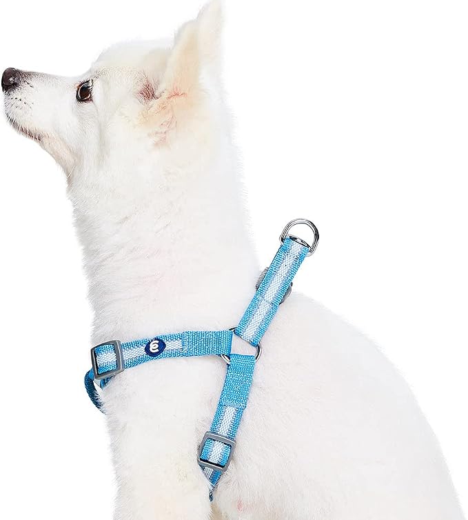 Blueberry Pet Essentials Step-in Reflective Back to Basics Dog Harness, Sky Blue, Chest Girth 26" - 39", Large, Adjustable Harnesses for Dogs