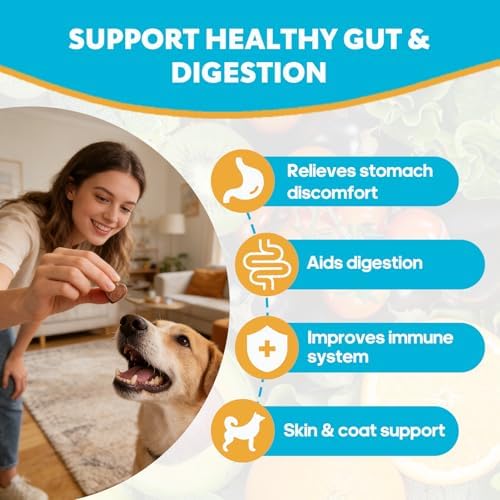 Dog Probiotic for Digestive Gut Support 120 Soft Chews