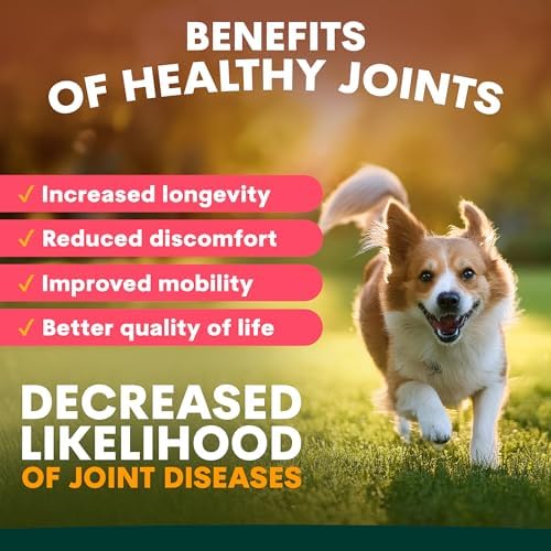 Petz Park Dog Hip and Joint Supplement for Mobility