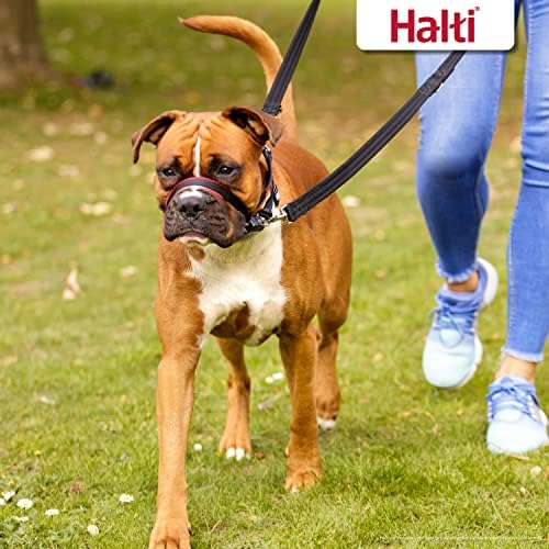 Halti Optifit Headcollar (Size M) & Training Leash (Size L, Black) Bundle