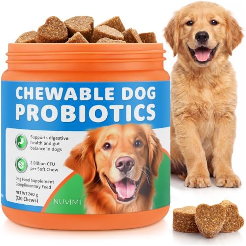 Probiotics for Dogs - 120 Chews - Helps Support Dog Gut Health - Chicken Flavored Chewable Probiotic Supplement - Digestive, Immunity & Skin Enzymes