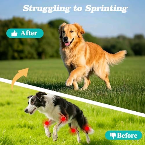 Dog Hip & Joint Supplement – Glucosamine for Dogs Chews with Chondroitin & MSM, Advanced Joint Support for Large & Senior Dogs, Supports Mobility & Everyday Comfort – 180 Count
