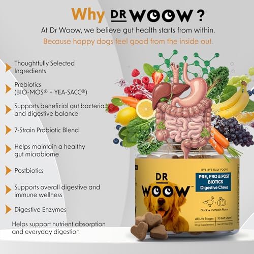 Probiotics Supplements for Dogs Soft Chews (90 CT) – Digestive Support + Gut Balance & Healthy Stool Support – Probiotics + Digestive Enzymes – Duck & Pumpkin Flavor – Made in USA