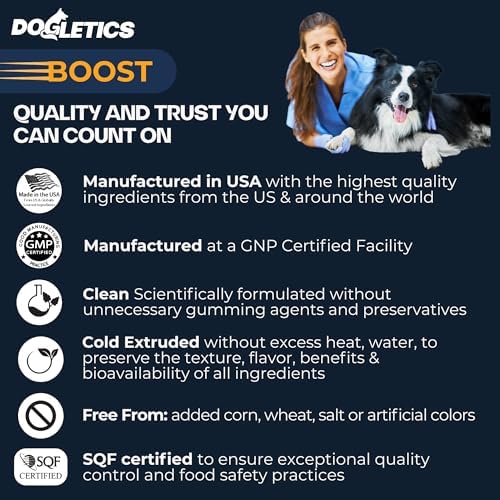 Boost Active Dog Support: Improve Energy, Endurance, Recovery & Longevity- 90ct USA Made with Real Bacon