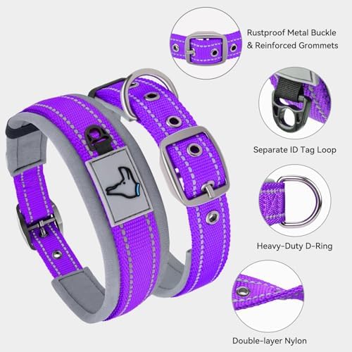 Joytale Reflective Dog Collar for Small Dogs with Wide Padding, Purple