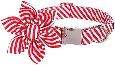 Lionet Paws Dog Collar with Flower, Soft and Comfortable, Adjustable Collar for Small Dogs Girl, Neck 10-16 inches