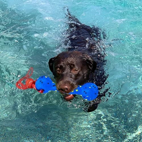 BABORUI Floating Dog Pool Toy, Blue Stick