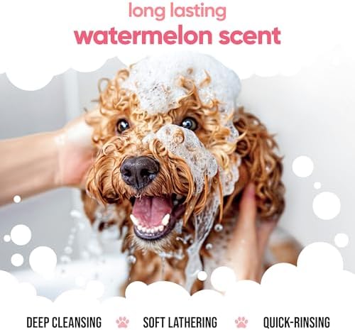 Watermelon Dog Shampoo by Buddycare | with Aloe Vera and Pro Vitamin B5 (50.72oz)