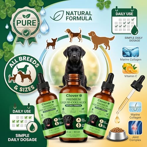 Clover Collagen for Dogs, Triple Hydrolyzed Liquid Collagen Peptides with Glucosamine and Hyaluronic Acid, Joint Mobility Support, Skin and Coat Supplement Drops (1PC)