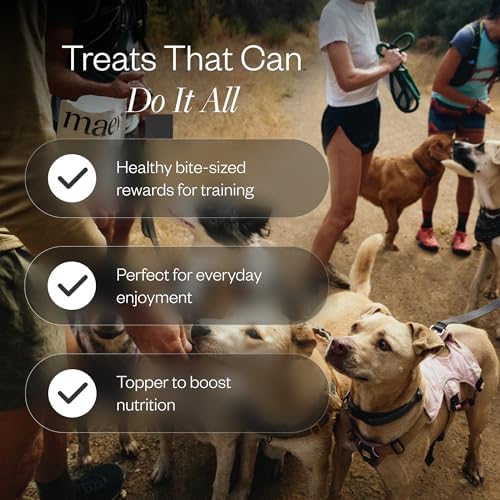 Maev Freeze Dried Beef Liver Dog Treats | 100% USDA Certified | Raw, Single-Ingredient | Healthy, Human-Grade Dog Snacks | Perfect for Training & Sensitive Diets (Pack of 3)
