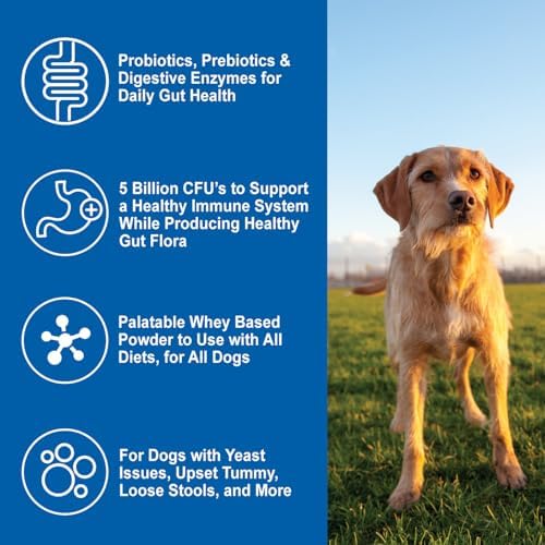 DOGZYMES Daily Balance Canine Supplement by Nature’s Farmacy – Probiotics + Prebiotics + Digestive Enzymes – 5 Billion CFUs – Whey Base – 1 lb (454 g)