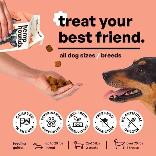 Adaptogenic Joint Supplement for Dogs- Glucosamine Chondroitin for Dogs with Green Lipped Mussels - MSM - 90 Chews - Dog Pain Supplement - Inflammation Relief Chews - Beef Liver Flavor