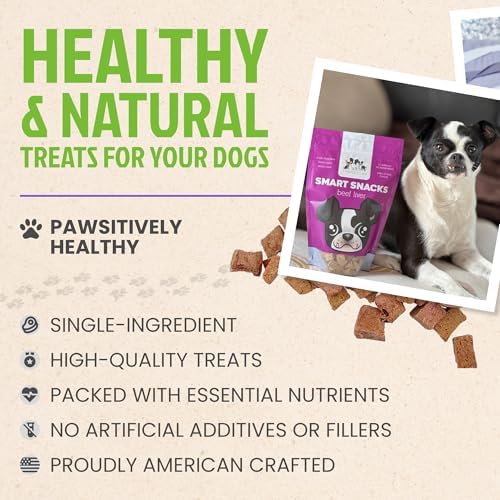 Freeze Dried Dog Treats - Single Ingredient Beef- Healthy, High Value - Freeze Dried Dog Food - Made in the USA – 4 Ounce