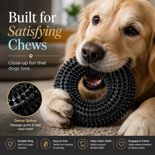 Squeaky Dog Toy, Floating Donut Ring, Large Dogs, Black