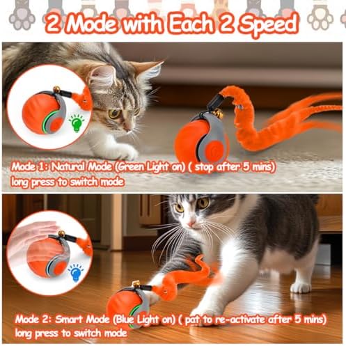 Mity rain Interactive Cat Toy Ball, Rechargeable Cat Toys for Indoor Cats | with Feather Tails for Kittens Chasing, Motion Activated Ball for Enrichment, Automatic Rolling Toys to Keep Them Busy Orange