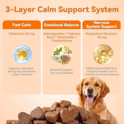 PUAINTA Calming Chews for Dogs