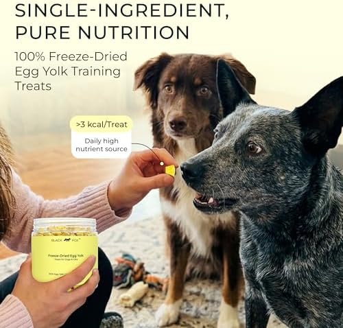 BLACK FOX Freeze-Dried Egg Yolk Treats for Dogs & Cats - 4oz