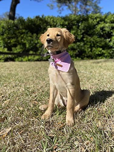 Lionet Paws Dog Bandana Washable Cotton Handkerchief Scarf Triangle Bandana for Small Medium Large, Small (Pack of 1), Small, Pink