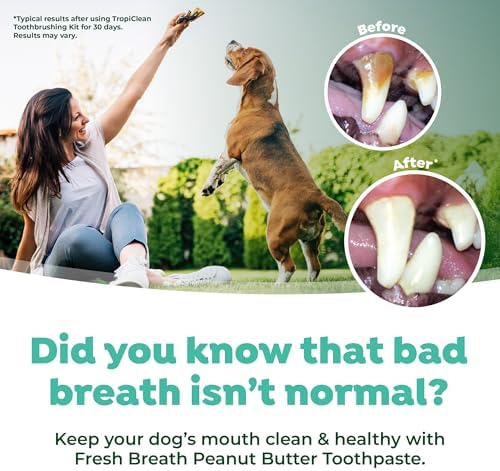 TropiClean Fresh Breath Dog Toothpaste, Peanut Butter & Honey, 2oz | Freshens Breath & Cleans Teeth | Peanut Butter & Honey Flavor | 2oz