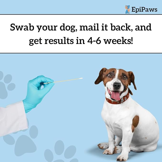 Dog Age Test
