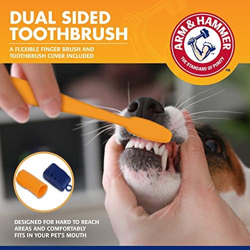 Arm & Hammer Tartar Control Dog Dental Kit, Banana Mint, 3-Piece, 48-Pack | Enzymatic toothpaste with toothbrush and fingerbrush, baking soda formula safe for puppies