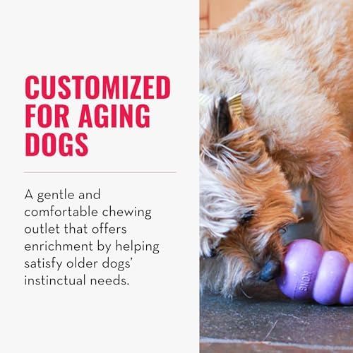KONG Senior, Gentle Natural Rubber Toy, for Medium Dogs (Pack of 2) | Gentle Natural Rubber Stuffable Toy Designed for Older Dogs with Aging Teeth, Holds Treats for Easy Chewing & Gentle Fetch