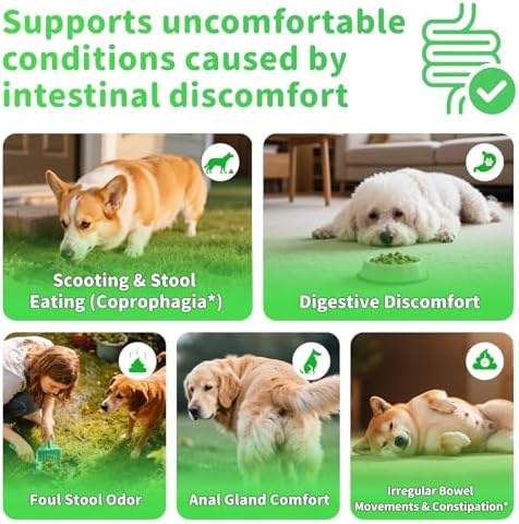 Dog Probiotics & Digestive – Pumpkin Fiber Chews for Gut Health - Chicken Flavor