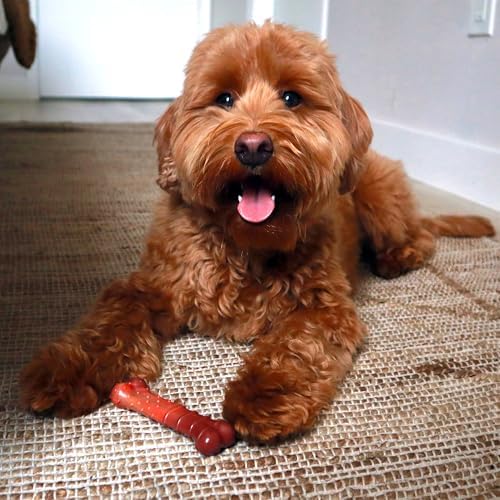 Nylabone Power Chew Textured Bone Dog Chew Toy, Beef Jerky Flavor, X-Small | Durable, long lasting, discourages destructive chewing, teeth-cleaning textures, flavor throughout, for dogs up to 15 lbs
