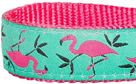 Blueberry Pet Essentials 2 Patterns Durable Pink Flamingo on Light Emerald Dog Leash 5 ft x 3/4", Medium, Basic Nylon Leashes for Dogs
