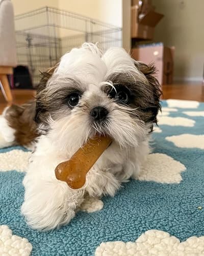 Nylabone Puppy Chew Teething Bone Dog Chew Toy, Chicken Flavor, Medium | For medium breed puppies up to 35 lbs, soothing teething toys for puppies, puppy enrichment, freeze for added comfort