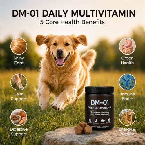 DM-01 Daily Multivitamin for Dogs - Advanced Hip & Joint Support, Boosts Immune System & Digestion, Promotes Skin, Coat & Organ System Health, Enhances Activity & Mood, 60 Chews (1)