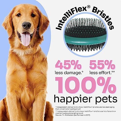 Wet Brush Ultimate Dual-Sided Detangling Brush, Blue