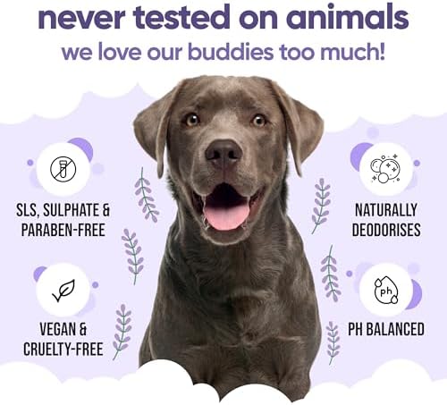 Calming & Deodorising Dog Shampoo by Buddycare | Lavender Scented | with Aloe Vera and Pro Vitamin B5 (50.72oz)