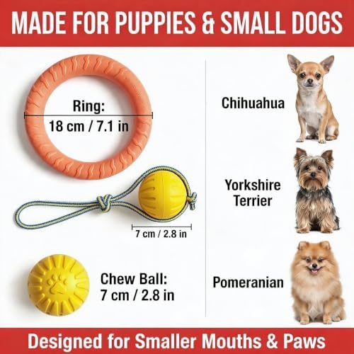 3-Piece Puppy Toys, EVA Chew Toy Set for Small Dogs | Quiet EVA chew toys with ball & tug ring for puppies and small dogs; designed for indoor and apartment play.