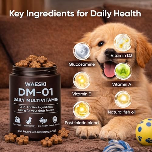 DM-01 Daily Multivitamin for Dogs, 12-in-1 Soft Chews with Salmon Oil, Probiotics, Chondroitin & Vitamins, Skin & Coat, Gut, Hip & Joint and Immune Support, Beef Flavor, 60 Chews