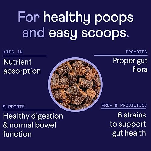 Finn Digestive Probiotics for Dogs - Pumpkin & Prebiotics - Beef - 90 Ct