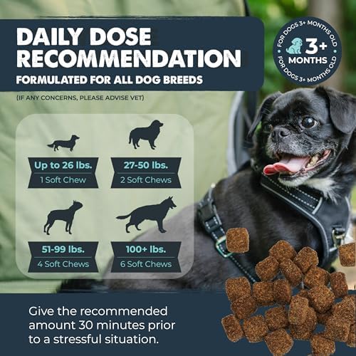 Mighty Paw Calming Chews for Dogs with Melatonin, 120-Pack, 120 Count