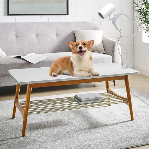 Dog Hair Dryer Holder, Alloy Adjustable Lazy Hair Dryer Hands Free Stand with 360° Rotatable Clamp for Pet Dog Cat Grooming (White)